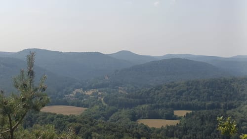 Busenberger Holzschuhpfad (Premiumwanderweg)