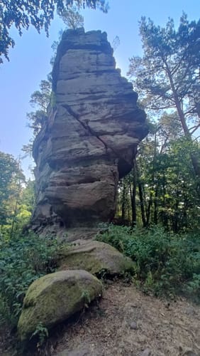 Busenberger Holzschuhpfad (Premiumwanderweg)