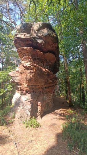 Busenberger Holzschuhpfad (Premiumwanderweg)