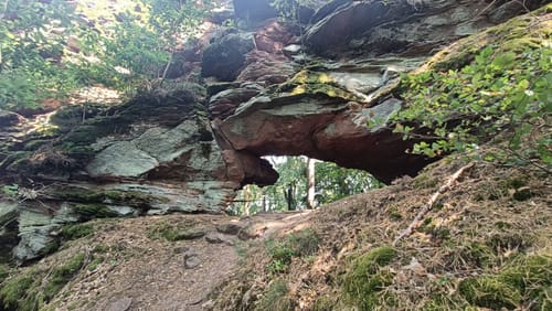 Busenberger Holzschuhpfad (Premiumwanderweg)