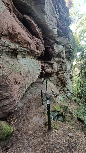 Busenberger Holzschuhpfad (Premiumwanderweg)