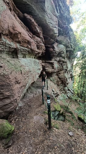 Busenberger Holzschuhpfad (Premiumwanderweg)