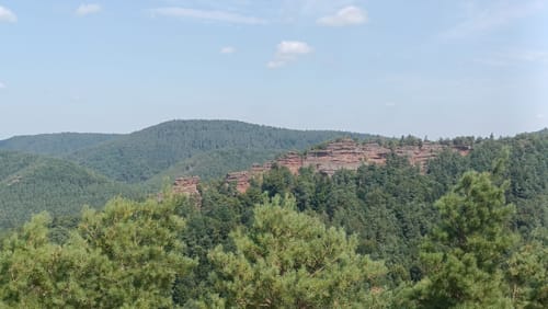 Busenberger Holzschuhpfad (Premiumwanderweg)