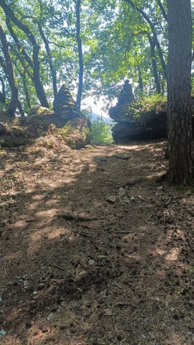 Busenberger Holzschuhpfad (Premiumwanderweg)