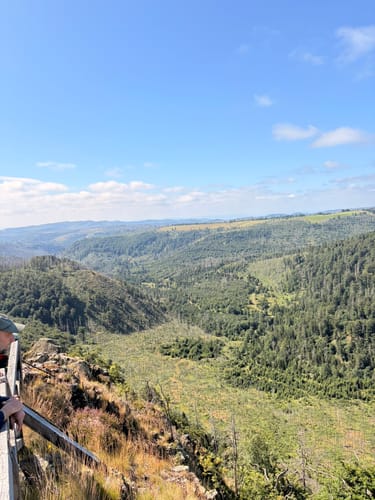 Blick ins romantische Odertal