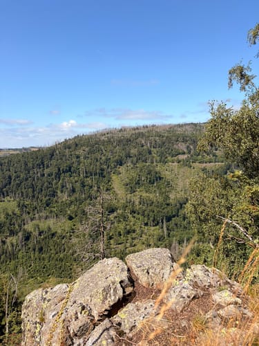 Blick ins romantische Odertal