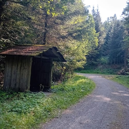 Laufenmühle - Ebnisee - Rundwanderung