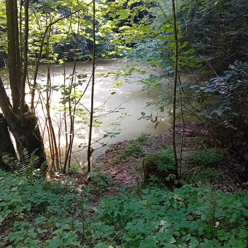 Laufenmühle - Ebnisee - Rundwanderung