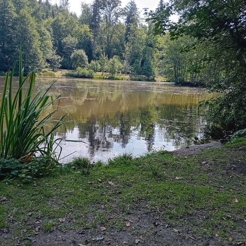 Laufenmühle - Ebnisee - Rundwanderung
