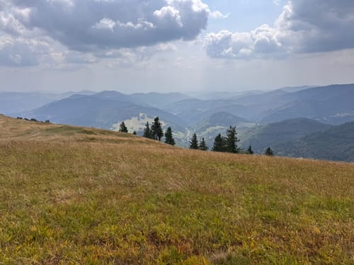 Vom Belchenhaus ins Tal