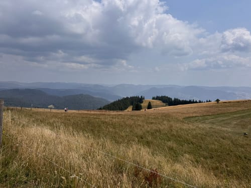 Vom Belchenhaus ins Tal