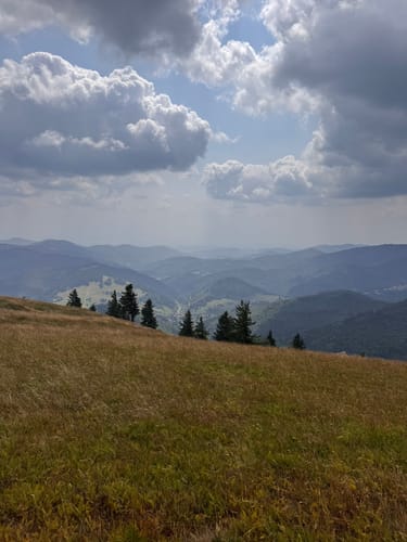 Vom Belchenhaus ins Tal