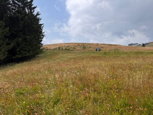 Vom Belchenhaus ins Tal