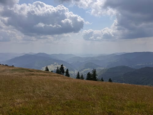 Vom Belchenhaus ins Tal