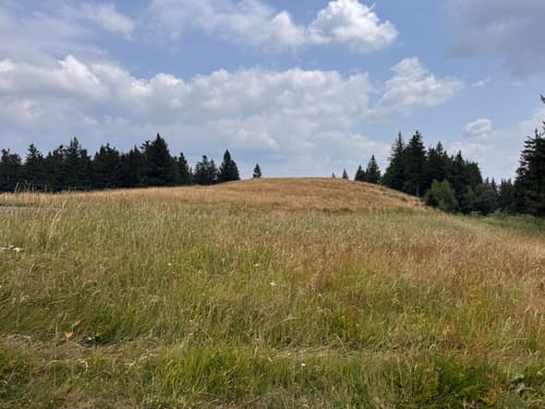 Vom Belchenhaus ins Tal