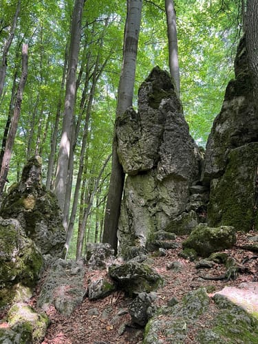 Runde am Eibgrat