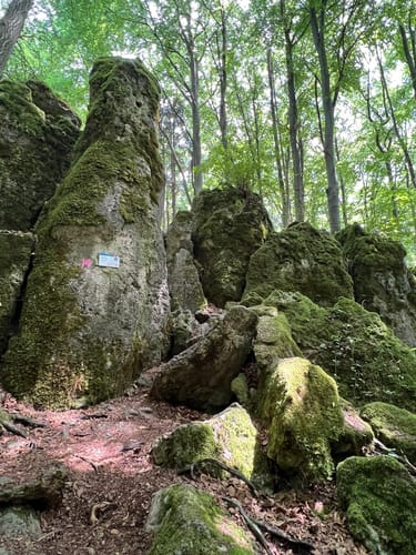 Runde am Eibgrat