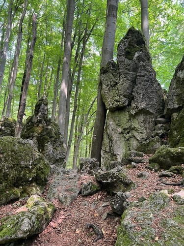 Runde am Eibgrat