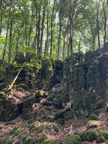 Runde am Eibgrat