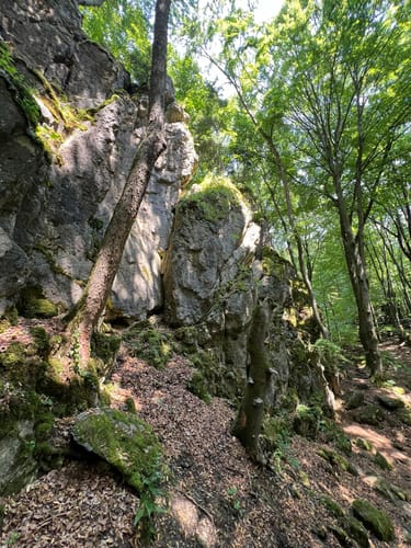 Runde am Eibgrat