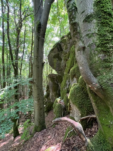 Runde am Eibgrat