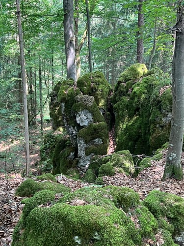 Runde am Eibgrat