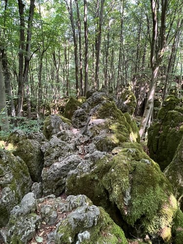 Runde am Eibgrat