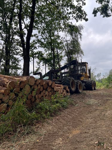 Haller Rundweg A5