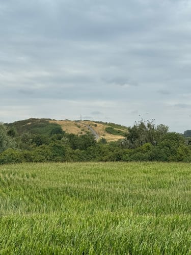 Bockum-Hövel Rundweg A7