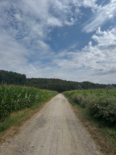 Bockum-Hövel Rundweg A7