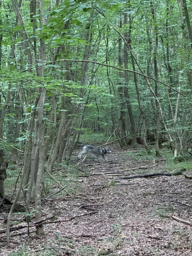 Bodendorf Runde