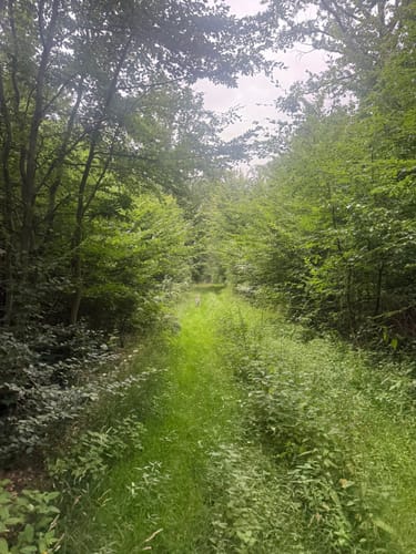 Bodendorf Runde