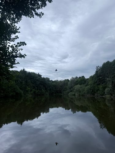 Bodendorf Runde