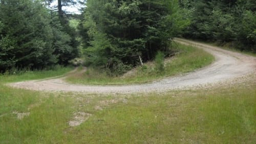 Prächtiger Hintertaunus