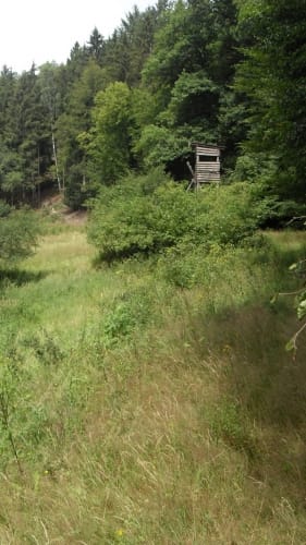 Prächtiger Hintertaunus