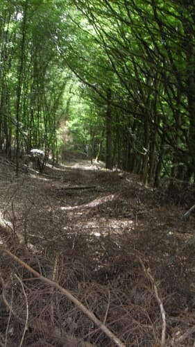 Prächtiger Hintertaunus