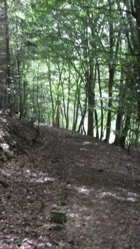 Prächtiger Hintertaunus