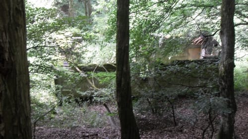 Prächtiger Hintertaunus