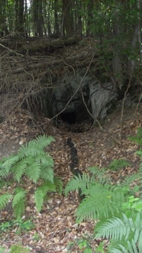 Prächtiger Hintertaunus