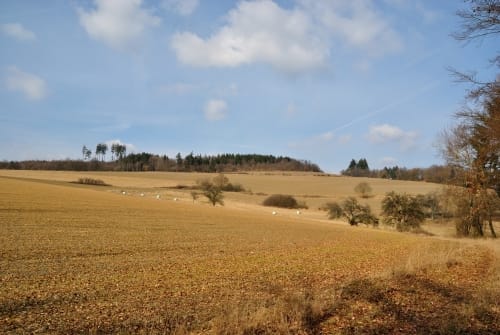 Kemel - Ramschied