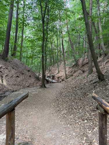 Kreuzbach Klamm Morgenbachtal