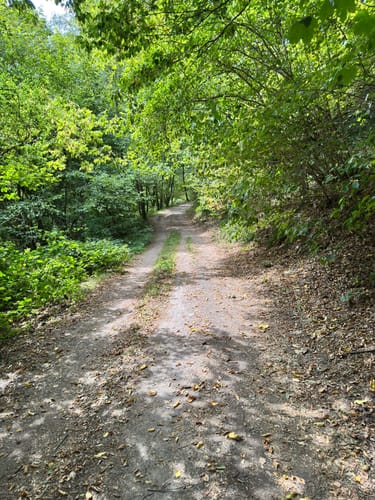 Waldlehrpfad Einruhr/Dedenborn