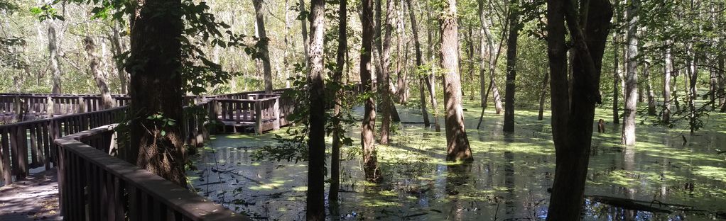 are dogs allowed at mingo wildlife refuge