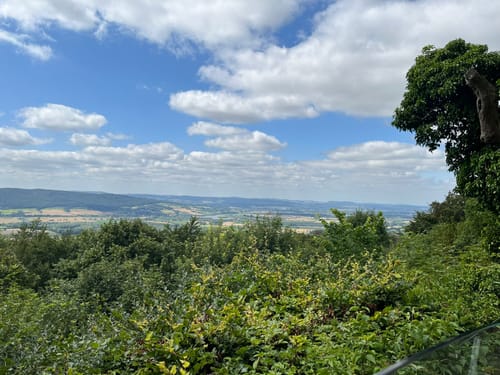 Drei-Burgen-Weg (Ri 5)