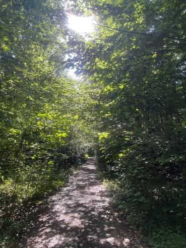 Drei-Burgen-Weg (Ri 5)