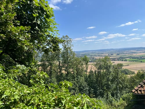 Drei-Burgen-Weg (Ri 5)