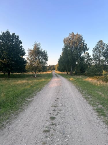 In die Weseler Heide