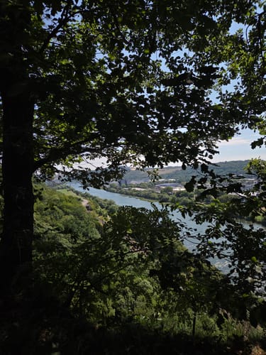 W3 Moselblick