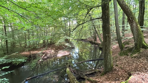 Entlang der Bille (Kurze Runde)