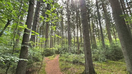 Entlang der Bille (Kurze Runde)